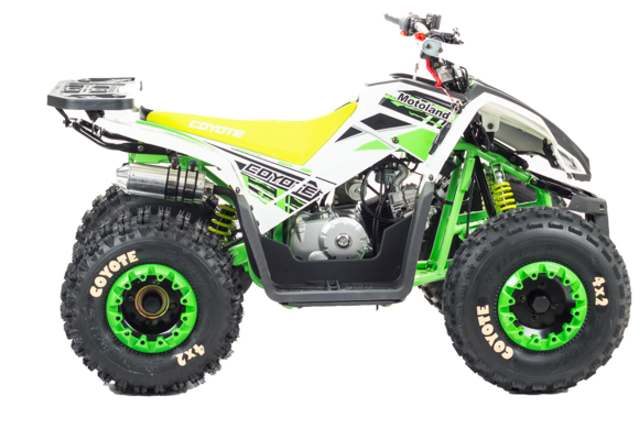 Квадроцикл Motoland VOX125 COYOTE зеленый pitbikemarket.ru