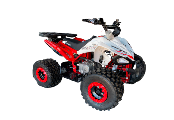 Квадроцикл TAO MOTOR CHEETAH 125 pitbikemarket.ru