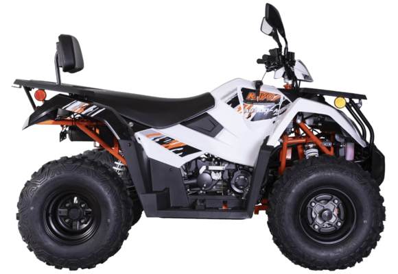 Квадрицикл KAYO AU300 Carb (белый пластик 2024 г.) (ПТС) pitbikemarket.ru